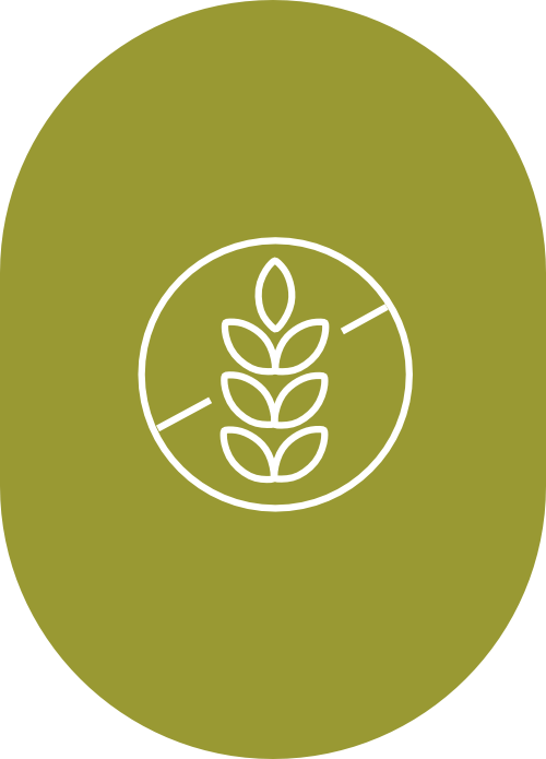 icono-sintacc